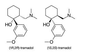 Chemical structure of Tramadol (C16H25NO2)